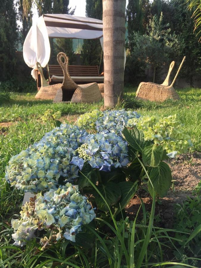 B&B Da Paco Somma Vesuviana Buitenkant foto
